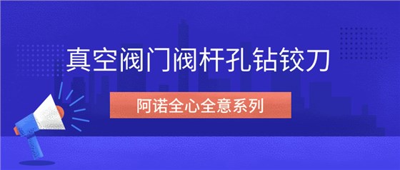 阿诺全心全意系列--真空阀门阀杆孔钻铰刀