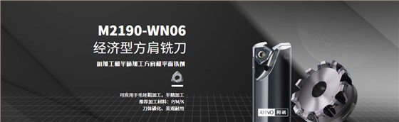 M2190-WN06